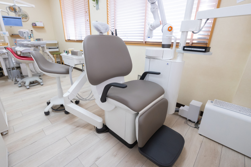 ドックベストセメント治療法